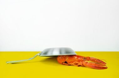 Melhores frigideiras para indução